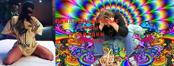 PSILOCYBIN Новокубанск
