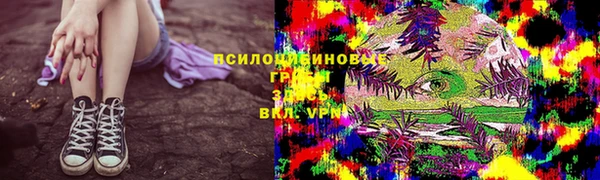 PSILOCYBIN Новокубанск