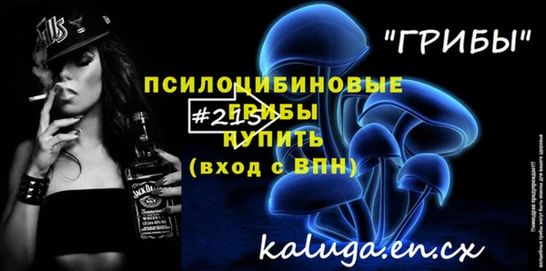 не бодяженный Новодвинск