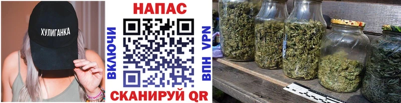 Шишки марихуана OG Kush Приморск