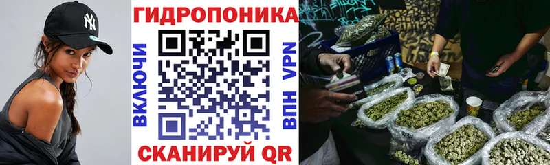МАРИХУАНА THC 21%  Приморск 